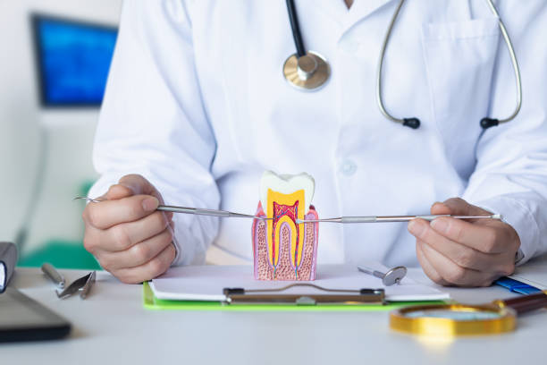 Best Broken or Chipped Tooth Repair in Nedrow, NY